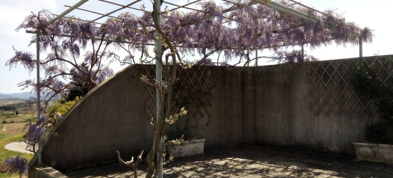 诺维涅通酒店(La Vigneronne)图片