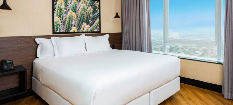 NH酒店圣塔纳贸易展览会(NH Hotel Feira de Santana)图片