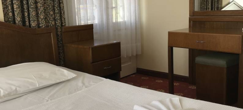 安提克里德凡酒店(Antik Ridvan Hotel)图片