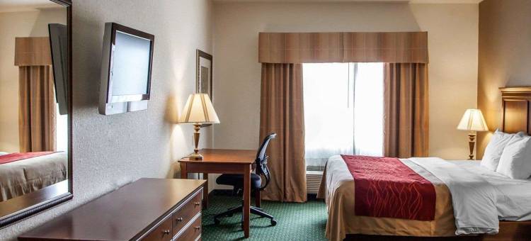 达文波特四城舒适套房酒店(Comfort Inn & Suites Davenport - Quad Cities)图片