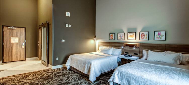 托皮卡希尔顿花园酒店(Hilton Garden Inn Topeka)图片