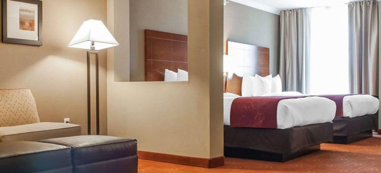 舒适套房酒店-法明顿(Comfort Suites Farmington)图片