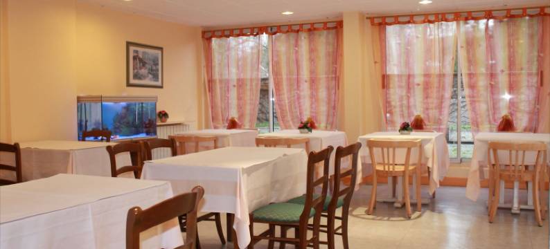 乐维雷治酒店(Hotel le Village)图片