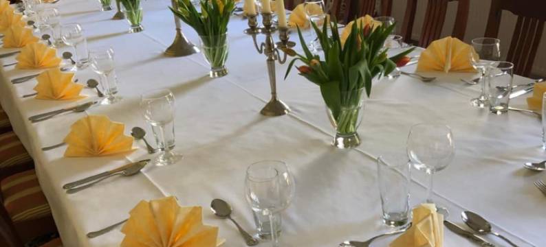 新温多弗潘森酒店(Hotel Pension Gutshaus Neu Wendorf)图片