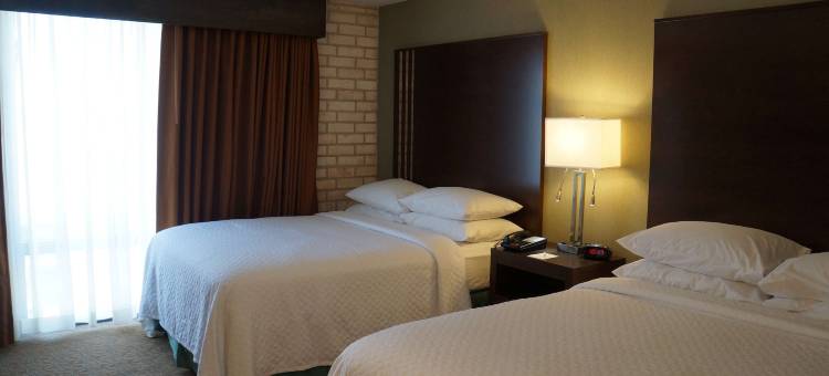 科珀斯克里斯蒂希尔顿安泊酒店(Embassy Suites by Hilton Corpus Christi)图片