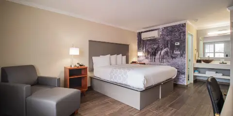 奧卡拉馬之旅館