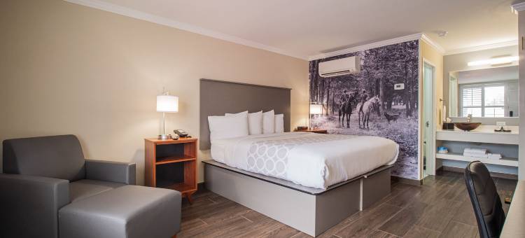奥卡拉马之旅馆(Equus Inn I75)图片