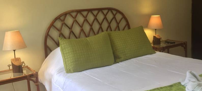 拉珀萨达德尔安吉酒店(Hotel la Posada del Angel)图片