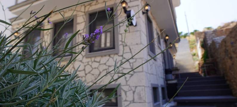 阿基里斯博兹贾达(Achilles Bozcaada)图片