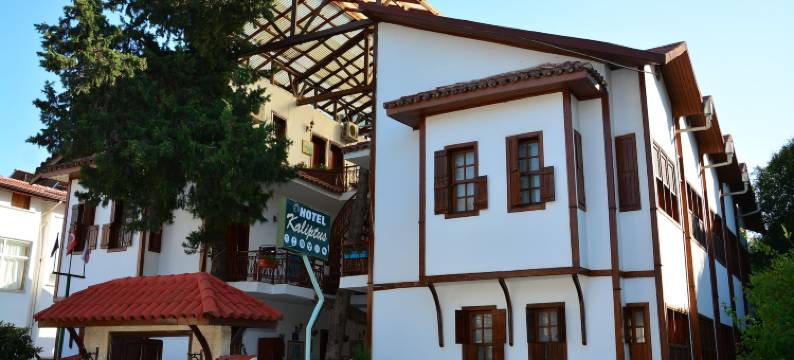 卡利普图斯酒店(Kaliptus Hotel)图片