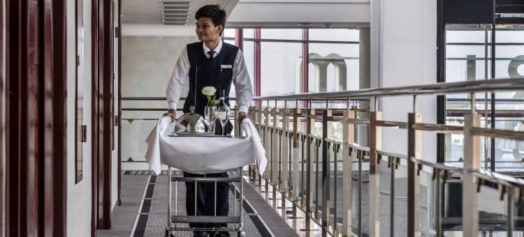 马格德堡马蒂姆宾馆(Maritim Hotel Magdeburg)图片