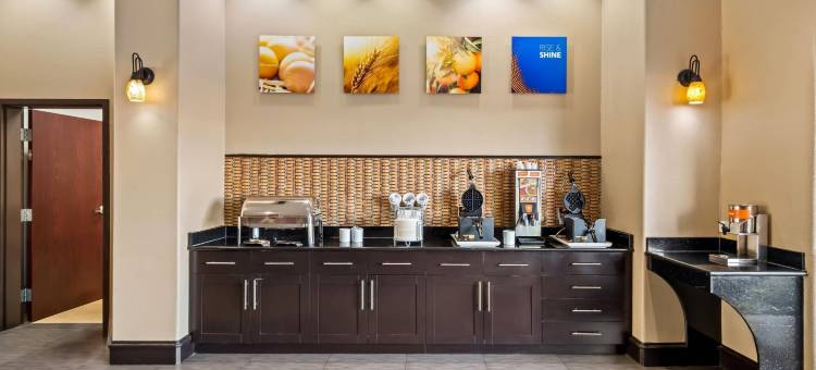 沃克西哈奇-达拉斯舒适套房酒店(Comfort Suites Waxahachie - Dallas)图片