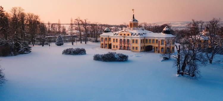 魏玛歌德公园多林特酒店(Dorint am Goethepark Weimar)图片