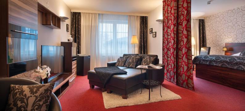 博尔诺维莫里斯公园酒店(Parkhotel Morris Novy Bor)图片