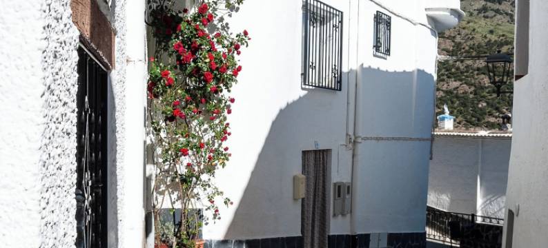 拉弗拉瓜一号酒店(Hotel la Fragua I)图片