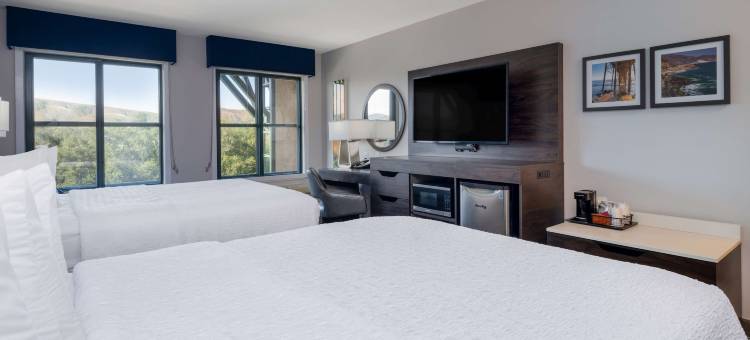 阿古拉山欢朋套房酒店(Hampton Inn & Suites Agoura Hills)图片