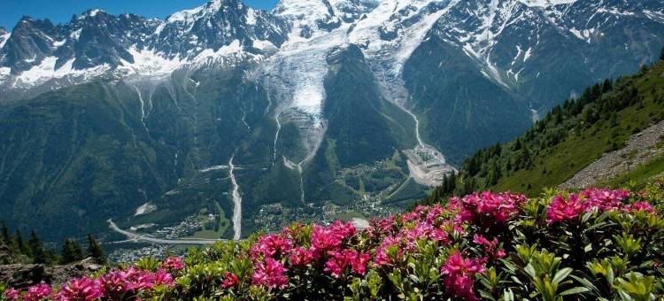 勃朗峰多米奥波特斯度假村(Dormio Resort les Portes du Mont Blanc)图片