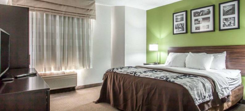 I-90 及阿什塔比拉区舒眠套房酒店(Sleep Inn & Suites Near I-90 and Ashtabula)图片