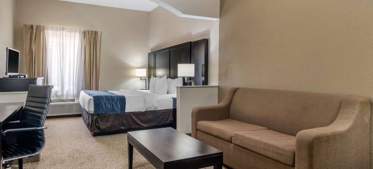 亚特兰大/斯麦纳舒适套房酒店(Comfort Inn & Suites Atlanta-Smyrna)图片