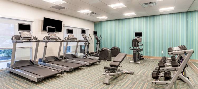 弗洛伦斯辛辛那提机场智选假日套房酒店(Holiday Inn Express & Suites Florence - Cincinnati Airport)图片