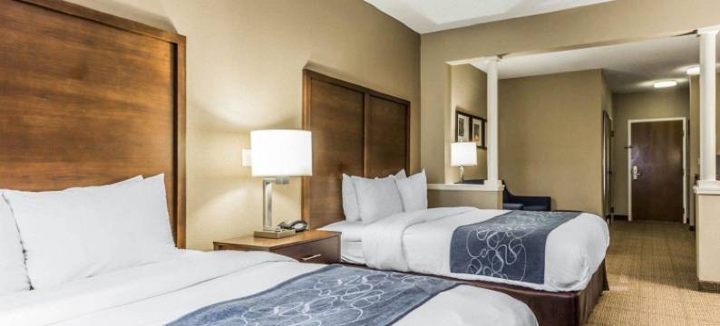 棕榈岛科耐特舒适套房酒店(Comfort Suites at Isle of Palms Connector)图片