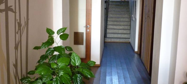 艺术酒店(Hotel Art)图片