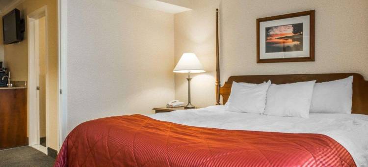 克拉丽奥套房酒店(乔治湖奥特莱斯)(Clarion Inn & Suites at the Outlets of Lake George)图片