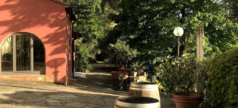 佩扎蒂诺二号酒店(Il Pezzatino)图片