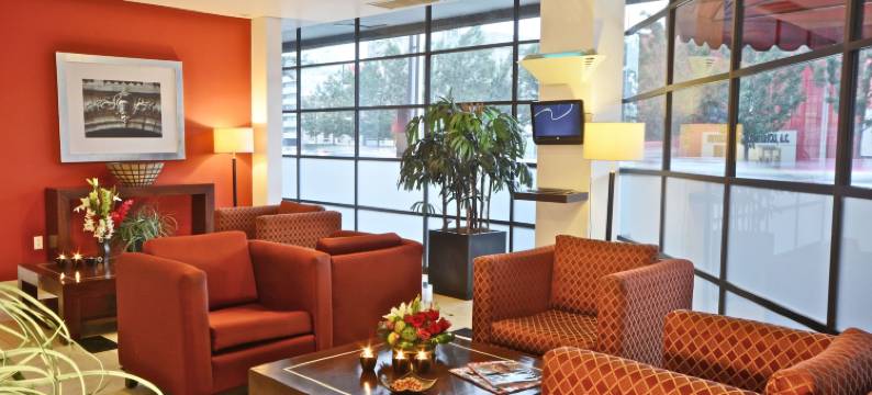 PF套房酒店(Hotel & Suites PF)图片