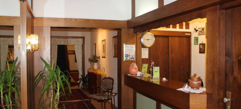 巴特尔斯城市酒店(Bartels Stadt-Hotel)图片