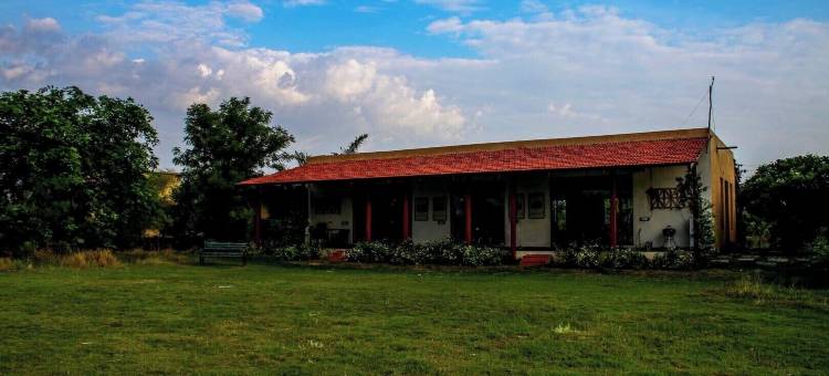 马胡阿托拉塔多巴(Mahua Tola Tadoba)图片