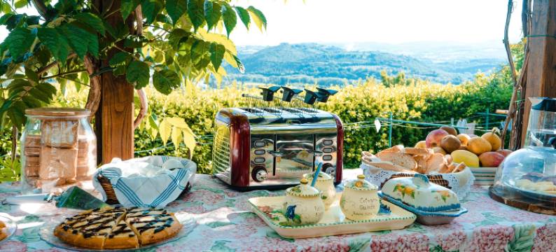 波德塞特皮格酒店(Podere Sette Piagge)图片