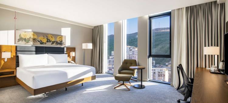 第比利斯希尔顿花园酒店(Hilton Garden Inn Tbilisi Chavchavadze)图片