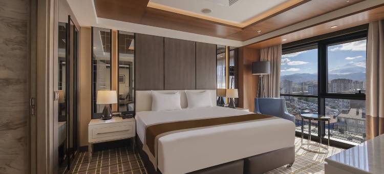 开塞利-杜文诺努假日酒店(Holiday Inn Kayseri - Duvenonu)图片