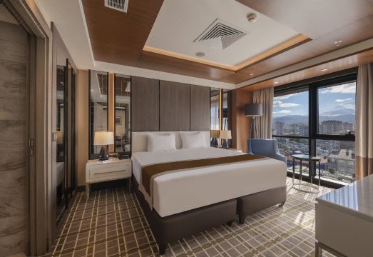 Holiday Inn KAYSERI - DUVENONU by IHGHotel Overview