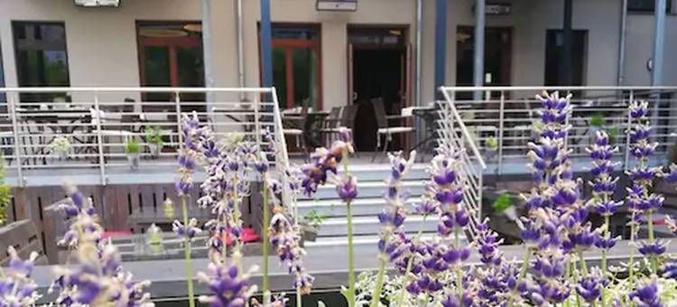 阿历克斯桑德斯酒店寄宿公寓及餐厅(Alexxanders Hotel & Boardinghouse, Restaurant)图片