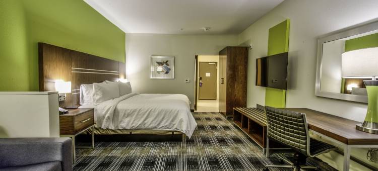 法默斯布兰奇智选假日套房酒店(Holiday Inn Express & Suites Dallas NW - Farmers Branch)图片