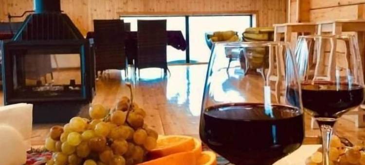 梅斯蒂亚酒店(Hotel Mestia Inn)图片