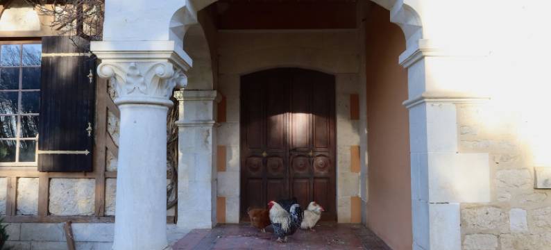 拉法桑德耶(La Faisanderie)图片