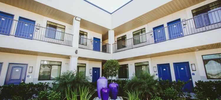 蓝城中心宫殿旅馆(Palace Inn Blue City Centre)图片