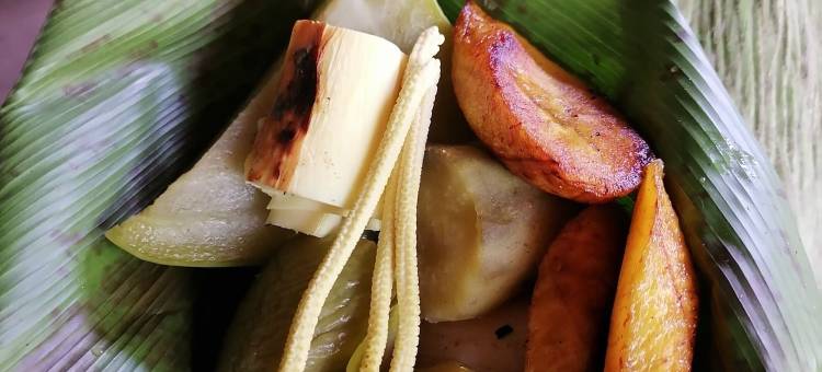 布里布里苏莱(Bribri Ù sule)图片