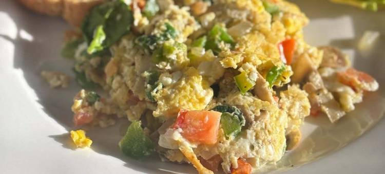 丹佛广场酒店(Plaza Hotel Denver Central)图片