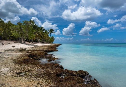 Family Dominicus Apartment - Bayahibe Hotel Overview