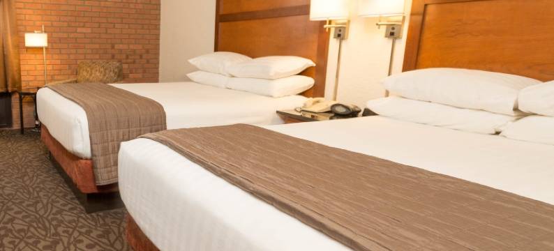 弗兰肯默斯德鲁套房酒店(Drury Inn & Suites Frankenmuth)图片