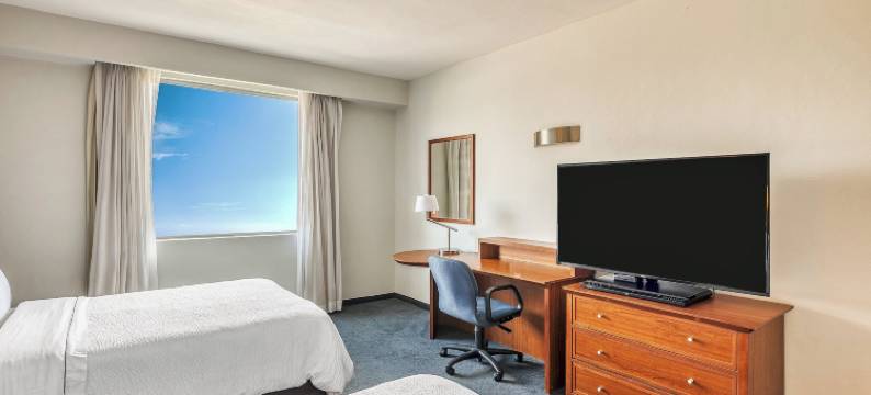 菲斯塔快捷酒店圣路易斯波托西东方(Fiesta Inn Express San Luis Potosí Oriente)图片