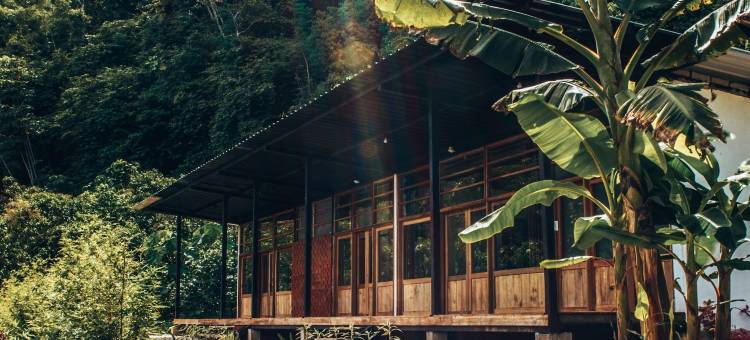 库野纳亚马逊旅馆(Kuyana Amazon Lodge)图片