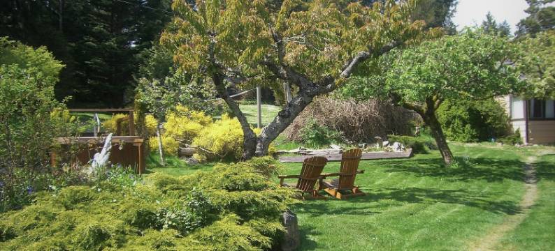 漂流木村度假酒店(Driftwood Village Resort)图片