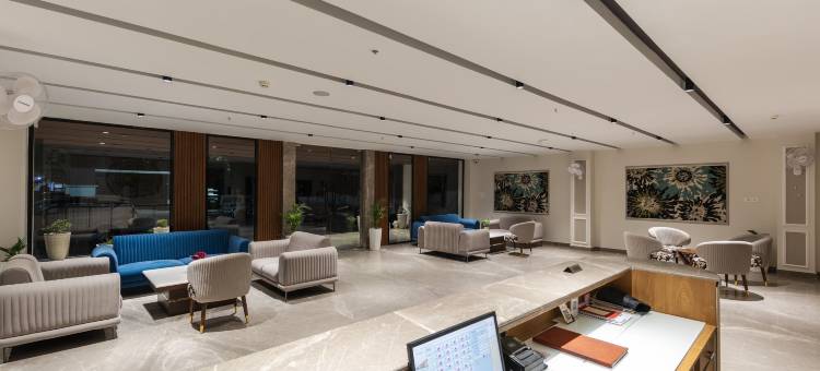 巴夫纳草坪酒店(Hotel Bafna Lawn)图片