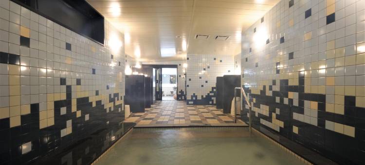 鸟取站前人工温泉二股汤之华格林里奇酒店(Green Rich Hotel Tottori Ekimae (Artificial Hot Spring Futamata Yunohana))图片