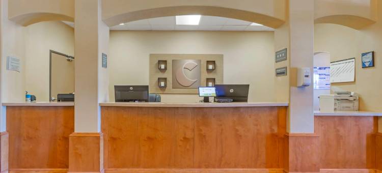 索科罗舒适套房酒店(Comfort Inn & Suites)图片